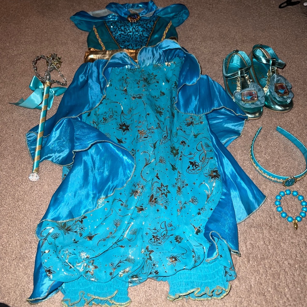 Disney Princess Jasmine costume.